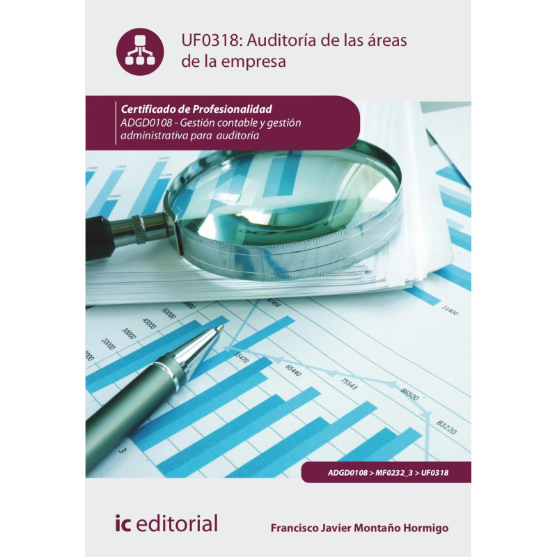Auditoría de las áreas de la empresa. ADGD0108 - Gestión contable y gestión administrativa para auditorías