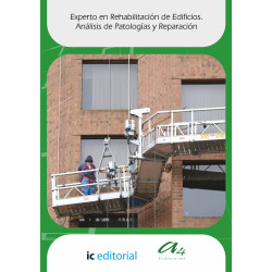 Experto en Rehabilitación de Edificios. Análisis de Patologías y Reparación