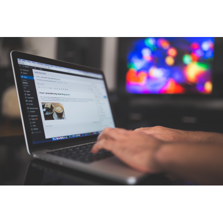 Wordpress. IFCM039PO - contenido olnine