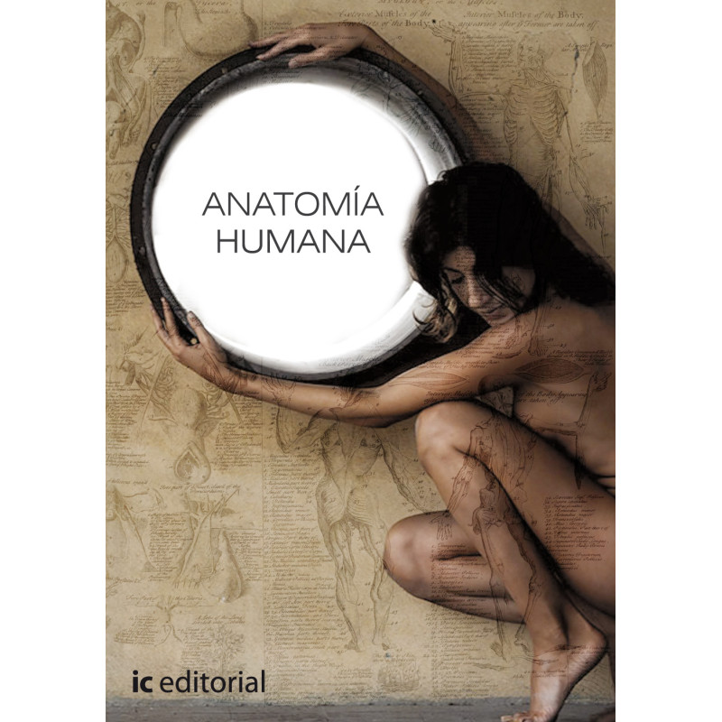 Anatomía humana