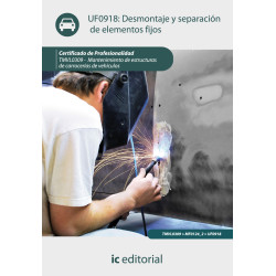 Desmontaje y separación de elementos fijos. TMVL0309 - Mantenimiento de estructuras de carrocerías de vehículos