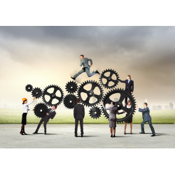 Desarrollo de equipos - contenido online