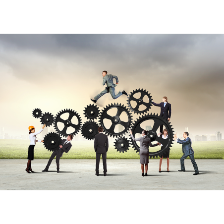 Desarrollo de equipos - contenido online