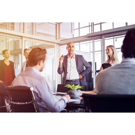 El liderazgo y los paradigmas organizacionales - contenido online