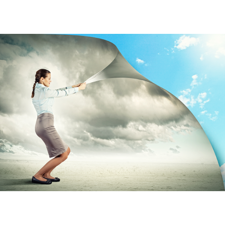 El proceso de cambio - contenido online