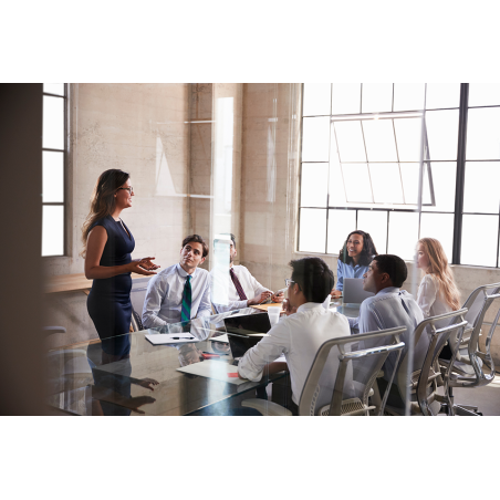 Liderazgo - contenido online