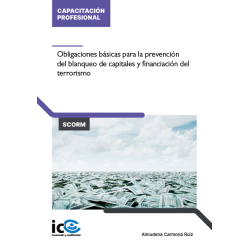 Obligaciones básicas para la prevención del blanqueo de capitales y financiación del terrorismo - contenido online