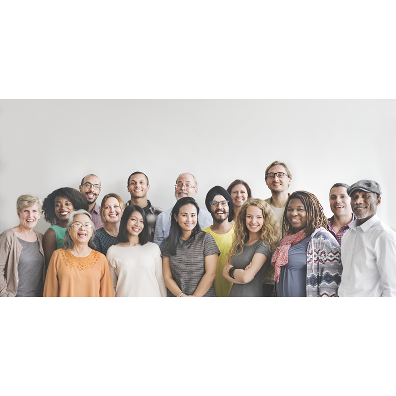 Plan de gestión de la diversidad LGTBI en la empresa - contenido online