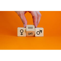 Plan de igualdad. Elaboración de diagnóstico - contenido online