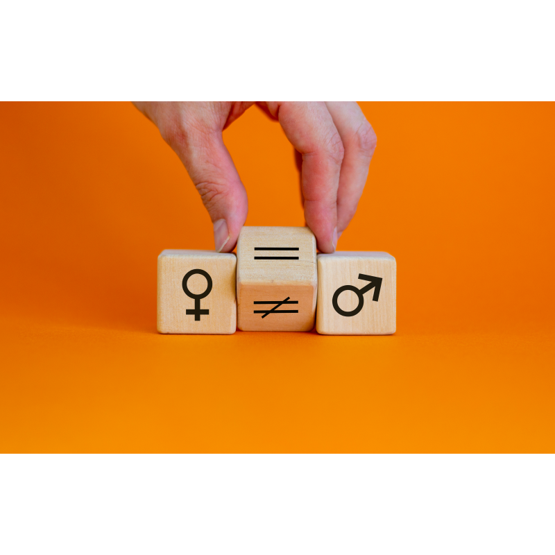 Plan de igualdad. Elaboración de diagnóstico - contenido online