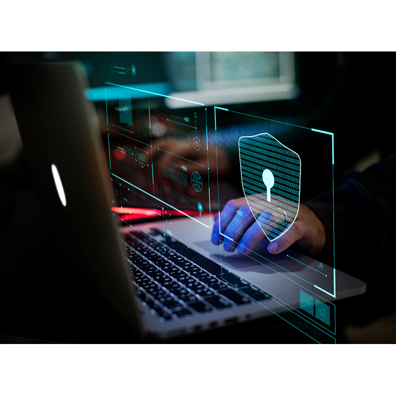 Seguridad informática en entornos de teletrabajo - contenido online