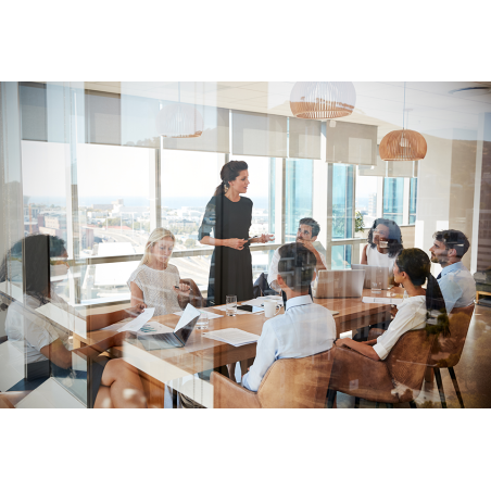 Técnicas de manejo de reuniones - contenido online