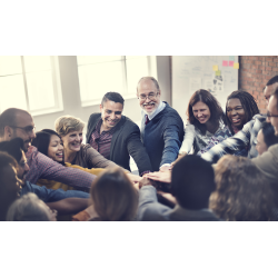 Trabajo en equipo - contenido online