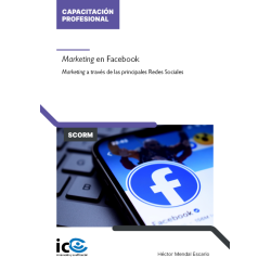 Marketing en Facebook. Marketing a través de las principales Redes Sociales - contenido online