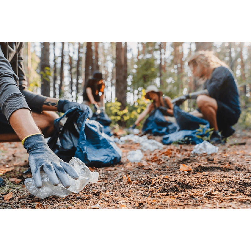 Sensibilización ambiental. FCOA02 - contenido online