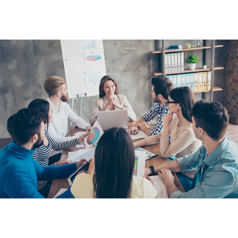 Coaching empresarial, creativo y gestión de equipos - contenido online