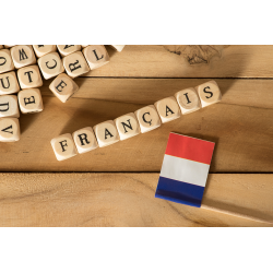 Francés B1 2017_10_(Ve) - contenido online