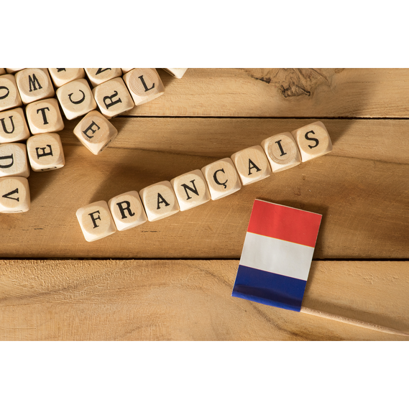 Francés B1 2017_10_(Ve) - contenido online