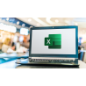 Excel Avanzado 2013 - contenido online