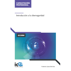 Introducción a la ciberseguridad - contenido online