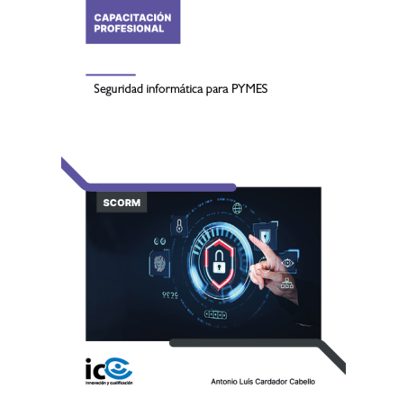 Seguridad informática para PYMES - contenido online