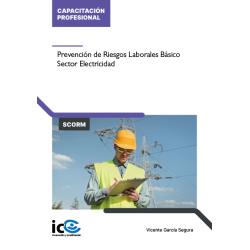 Prevención de Riesgos Laborales Específicos para el Sector Electricidad - contenido online