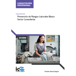 Prevención de Riesgos Laborales Específicos para el Sector Lavanderías - contenido online