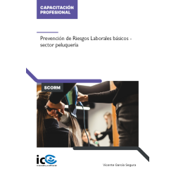 Prevención de Riesgos Laborales Específicos para el Sector Peluquería - contenido online