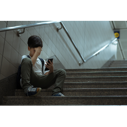 Ciberacoso Escolar - contenido online