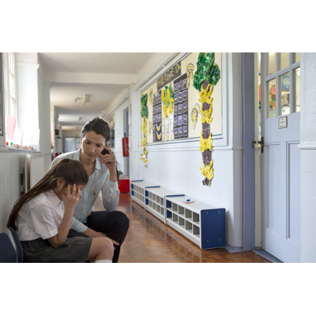 Coordinador o Coordinadora de bienestar y protección en centros educativos. Definición y funciones - contenido online