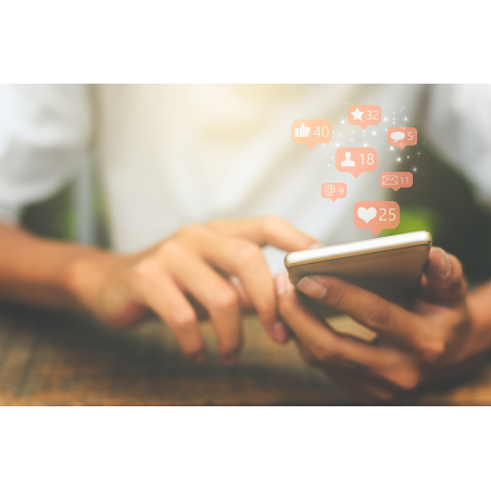 Habilidades de inteligencia social - contenido online