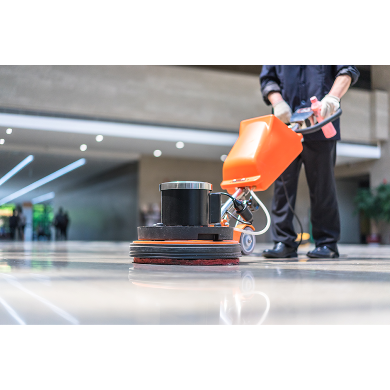 Limpieza, tratamiento y mantenimiento de suelos, paredes y techos en edificios y locales. SSCM0108 - Limpieza de superficies ...