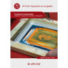 Impresión en serigrafía. ARGI0310 - Impresión en serigrafía y tampografía