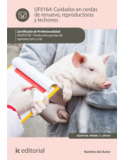 AGAP0108 Producción porcina  de reproducción y cría