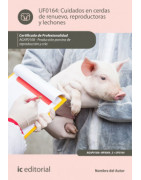 Producción porcina  de reproducción y cría  AGAP0108